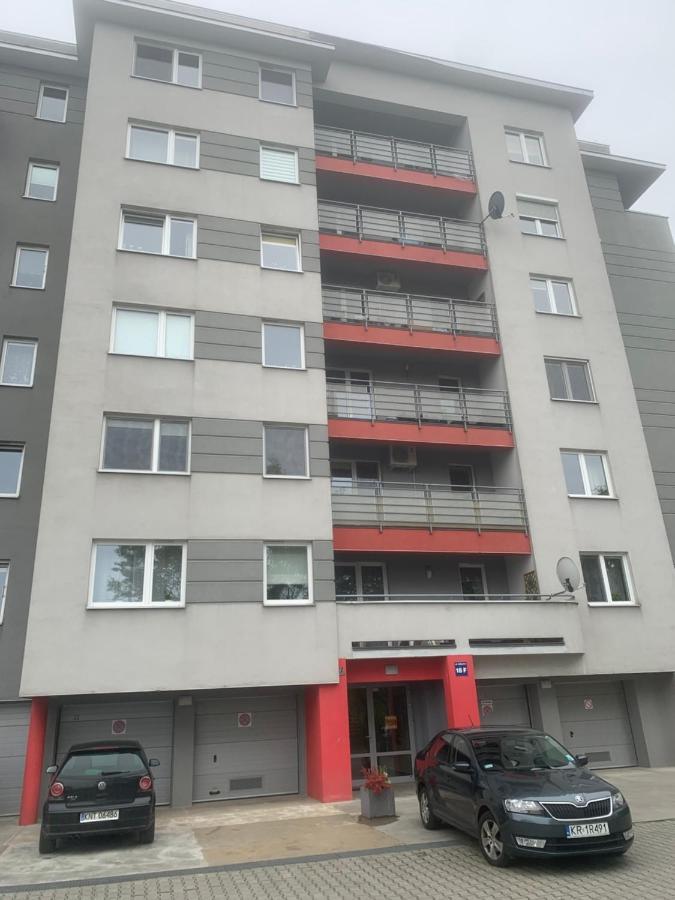 Apartment 6 Pietro Krakau